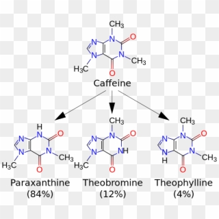 Paraxanthine Theophylline And Theobromine Clipart