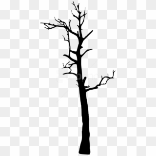 Free Png Dead Tree Silhouette Png Images Transparent - Portable Network Graphics Clipart