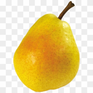 Ripe Pear Png Image - Груша Пнг Clipart