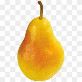 Download - Orange Pear Png Clipart