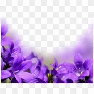 759 X 600 6 - Purple Flowers Borders Png Clipart