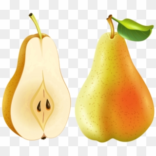Free Png Pear Transparent Png - Pear Transparent Clipart