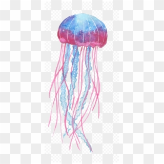 Box Jellyfish Png Transparent Image - Box Jellyfish Png Clipart