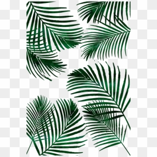 700 X 1036 16 - Palm Leaves Beach Towel Clipart