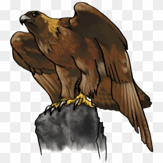Eagle Png Photo Background - Golden Eagle Cartoon Clipart