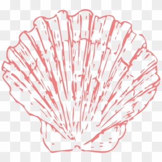 Clipart Seashell Png Transparent Png