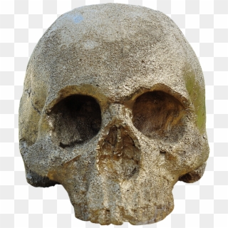 Skull And Crossbones, Golden Skull, Skull, Shiny - Skull Clipart