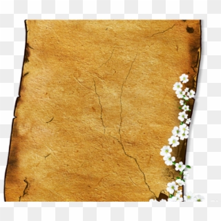 Old Paper Scroll - Paper Clipart