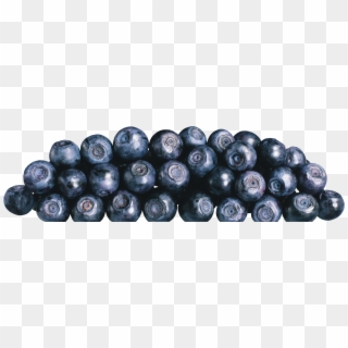 Blueberries Png Image - Bilberry Clipart