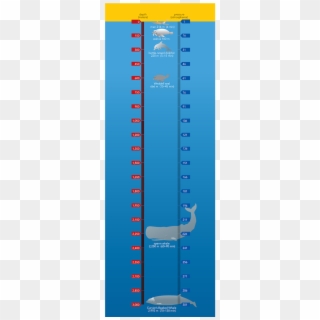 <p><strong>sf Fig - 9 - 3 - </strong> Diving - Blue Whale Diving Depth Clipart