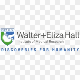 The Walter And Eliza Hall Institute Of Medical Research Clipart