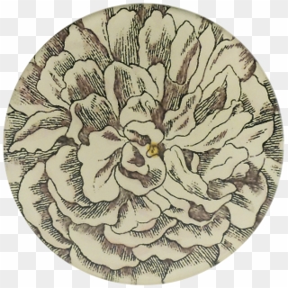 Chrysanths Clipart