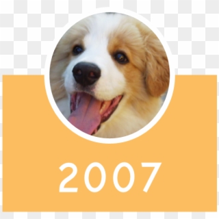 2007 Icon - Companion Dog Clipart
