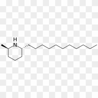 Solenopsin Clipart