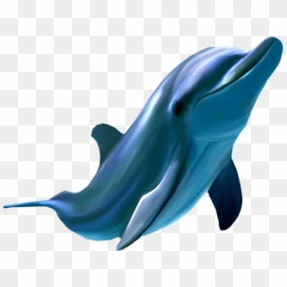 Picture Frame Dolphin - Dolphin Clipart