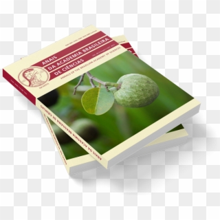 With Great Pleasure I Present The Latest Issue Of The - Persian Lime Clipart
