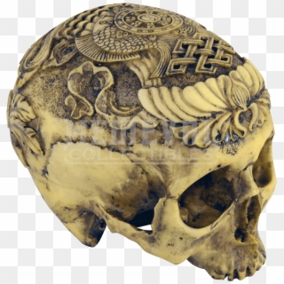 Artistic Carved Human Skull - Human Skull Clipart
