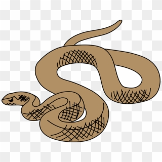 Brown Tree Snake Clip Art - Png Download