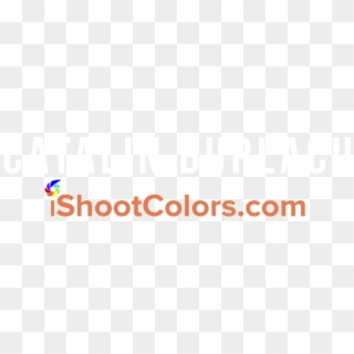 Logo Nou2 Clipart