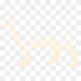 Sheep Clipart