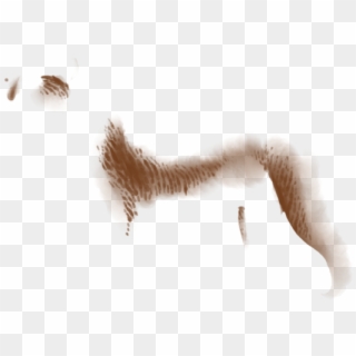 Snow Clipart