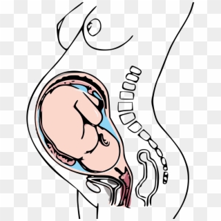 Low Dose Aspirin Can Help With Pregnancy Clipart