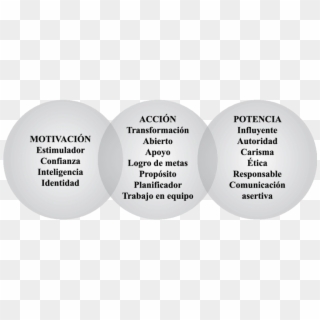 Características Del Líder - Circle Clipart