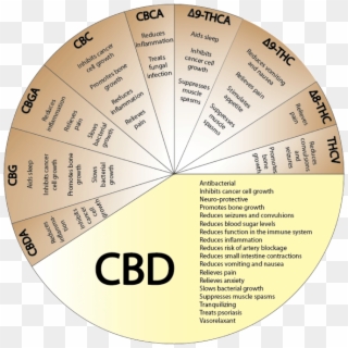 Cbd-benefits - Cannabinoid Effects Clipart