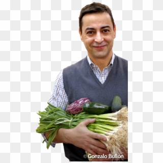 Juan Revenga - Natural Foods Clipart