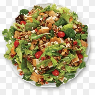 Wendy's - Garden Salad Clipart