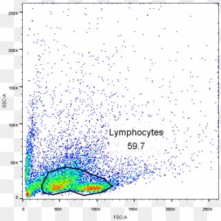 How To Gate The Lymphocytes In A Mouse Spleen Mononuclear - Splenocytes Flow Cytometry Fsc Ssc Clipart