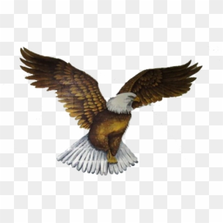 Cropped-empty - Bald Eagle Clipart