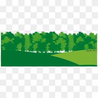 Bosque Png - Tree Clipart