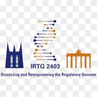 You Want To Unravel The Mysteries Of Genome Regulation - Iri For Life Sciences Clipart