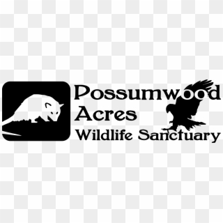 B84c4652 E6d8 41d2 A747 72deca2aa382 - Possumwood Acres Wildlife Sanctuary Clipart