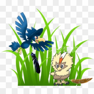 *find A Murkrow Feather In The Wild *find A Fletchling - Transparent Grass Clip Art - Png Download
