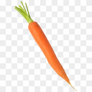 Carrot - Baby Carrot Clipart