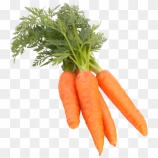 Baby Carrot Clipart