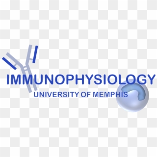 Research In Immunophysiology - Quest University Clipart