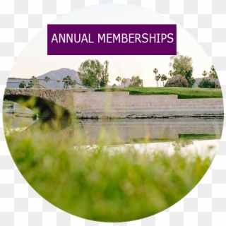Membership Information - Reflection Clipart