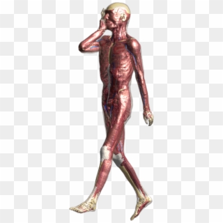 Standing Clipart