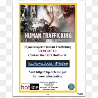 Zoom - Human Trafficking Hotline Poster Clipart