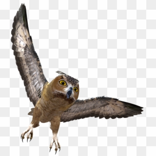 Owl In Flight Png Clipart - Owl Png Transparent Png