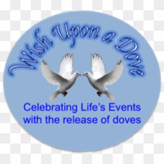Wish Upon A Dove - Pigeons And Doves Clipart