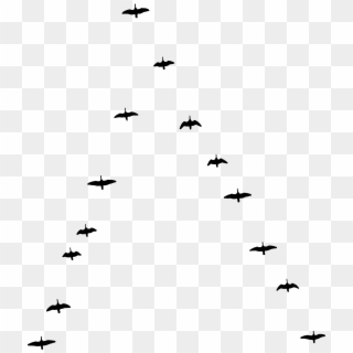 Big Image - Bird Migration Clipart