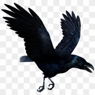 Raven Flying Png Hd - Mc Ride Death Tattoo Clipart