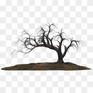 Dead Tree Clipart Scarey - Creepy Tree Png Transparent Png