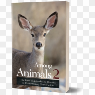 Cover Among Animals - Animals Clipart