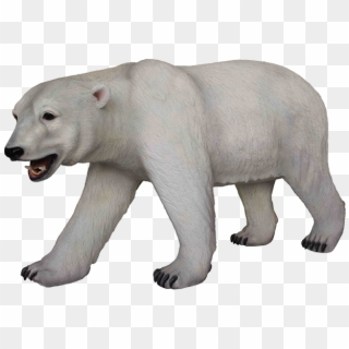 Download Polar Bear Png Transparent Images Transparent - Polar Bear Mouth Open Clipart