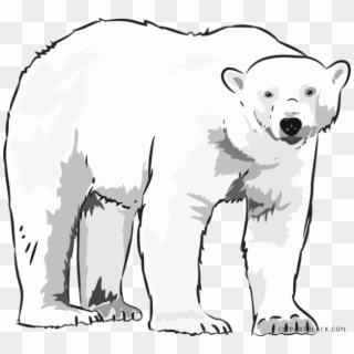 Graphic Free Library Black And White - Arctic Polar Bear Clipart - Png Download